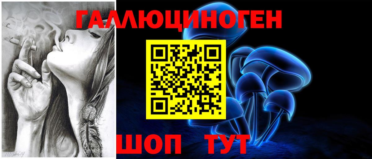 Карабулак  Галлюциногенные грибы Psilocybine cubensis  Вход с VPN 