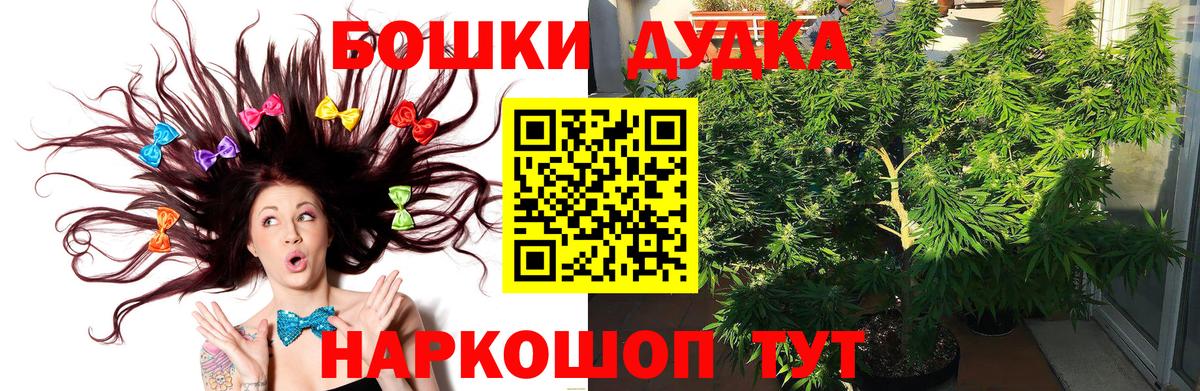 Карабулак  Шишки марихуана семена  Вход с VPN  Марихуана гибрид 